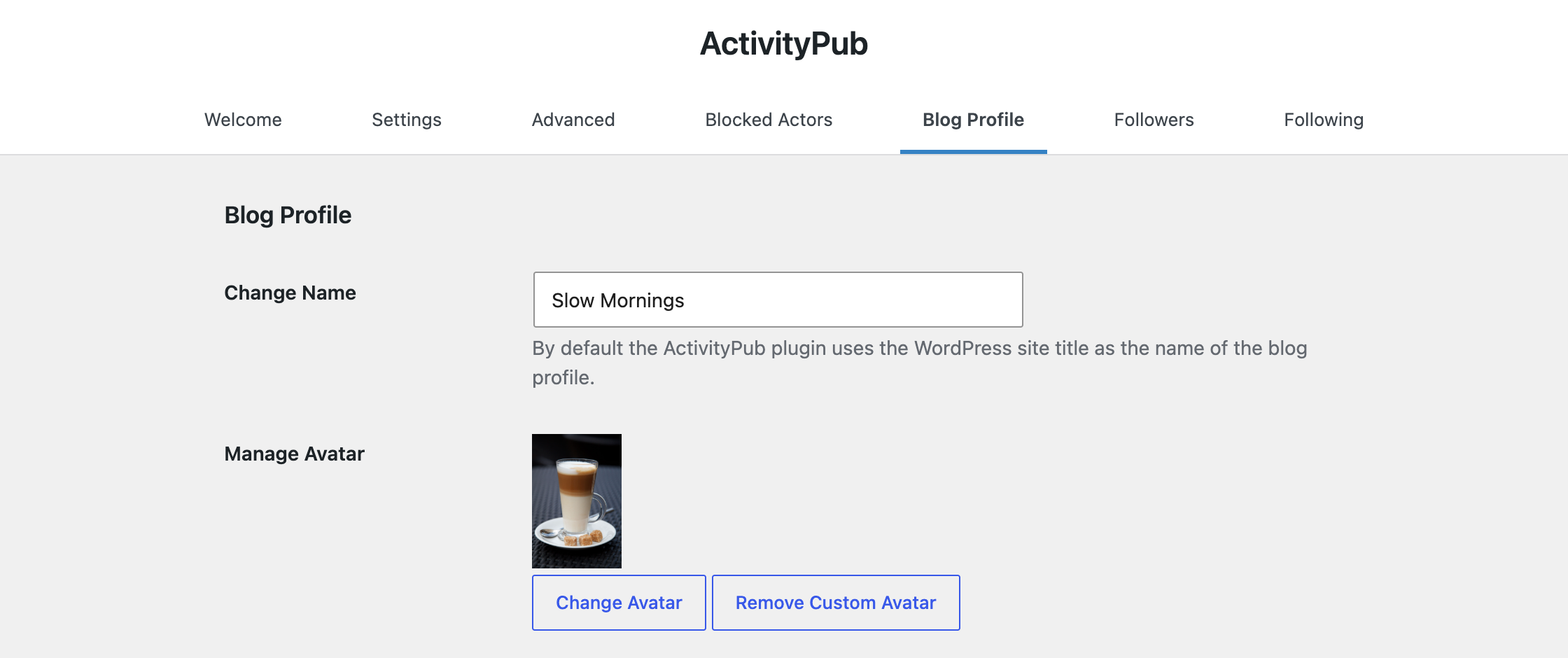 The Blog Profile settings with the new name field set to "Slow Mornings" and a custom avatar.